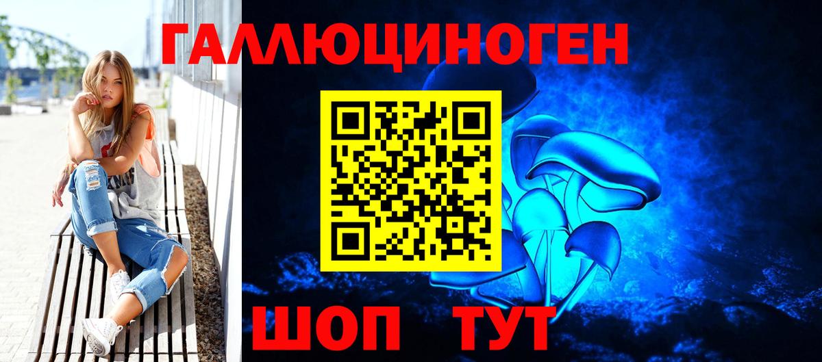 Мценск  Галлюциногенные грибы Psilocybine cubensis  Вход с VPN 