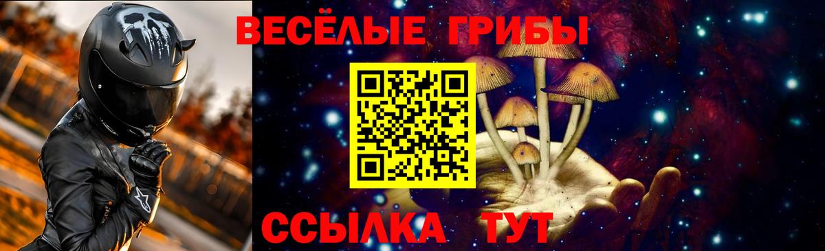 Псилоцибиновые грибы MAGIC MUSHROOMS Мценск